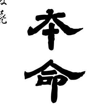 Japanese calligraphy kanji characters on a white background.